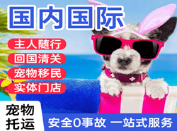 郴州北湖机场快递国际宠物托运 【国